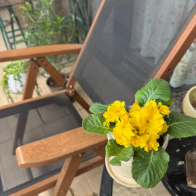 okyosan101さんの実例写真