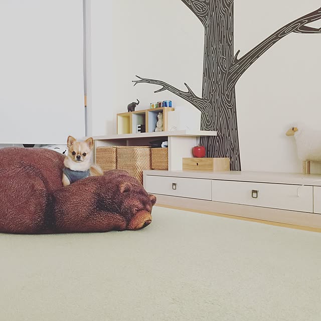 haruhinaさんの実例写真