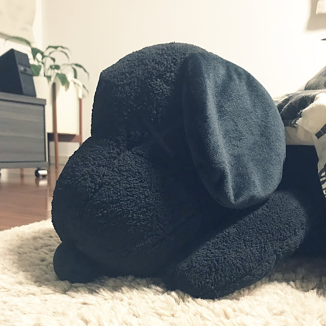 syuumaiさんの実例写真