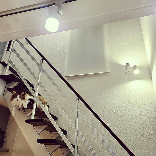 akiko6193さんの部屋