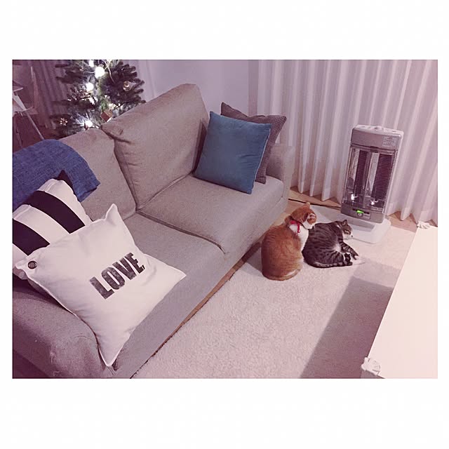 a.pigeさんの実例写真