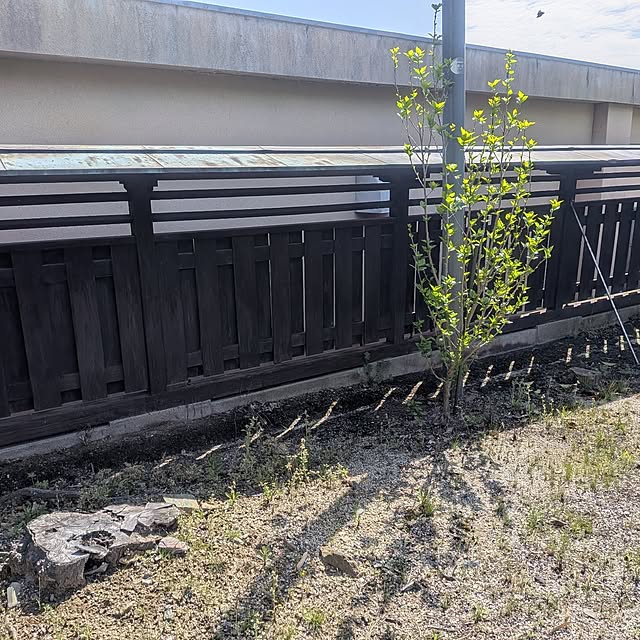 kuririnmamaさんの部屋