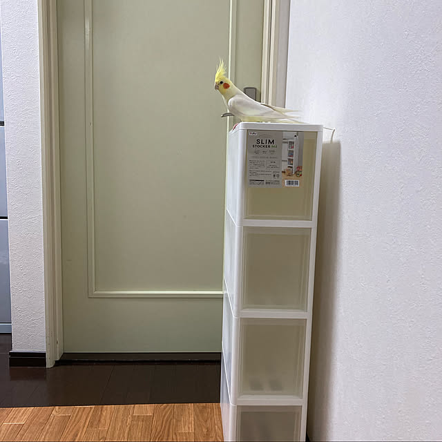 toratanさんの実例写真