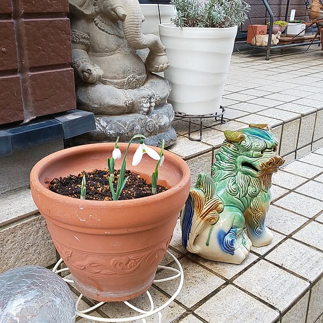 yumiyumiさんの実例写真