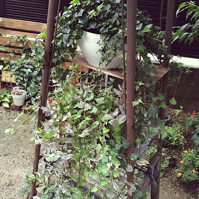 bibianさんの実例写真