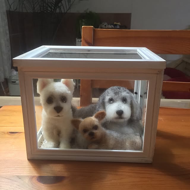 cooさんの実例写真