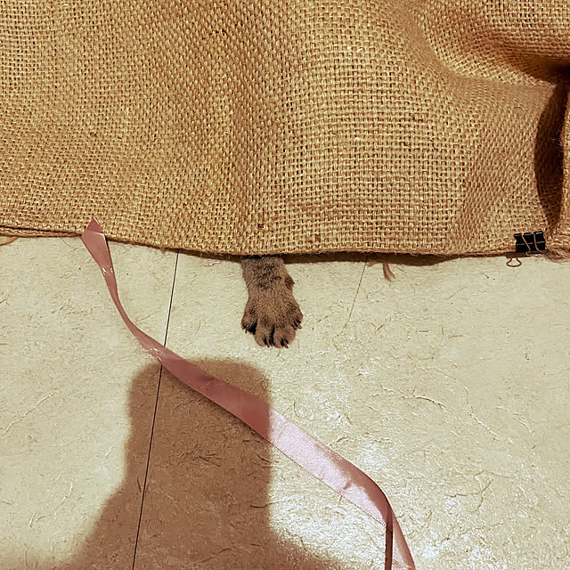 Mさんの実例写真