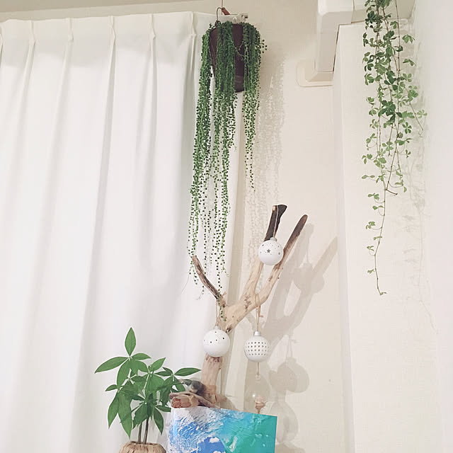 sakiyukaさんの実例写真