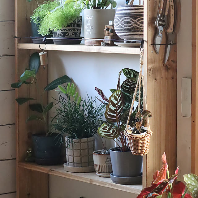maronさんの部屋