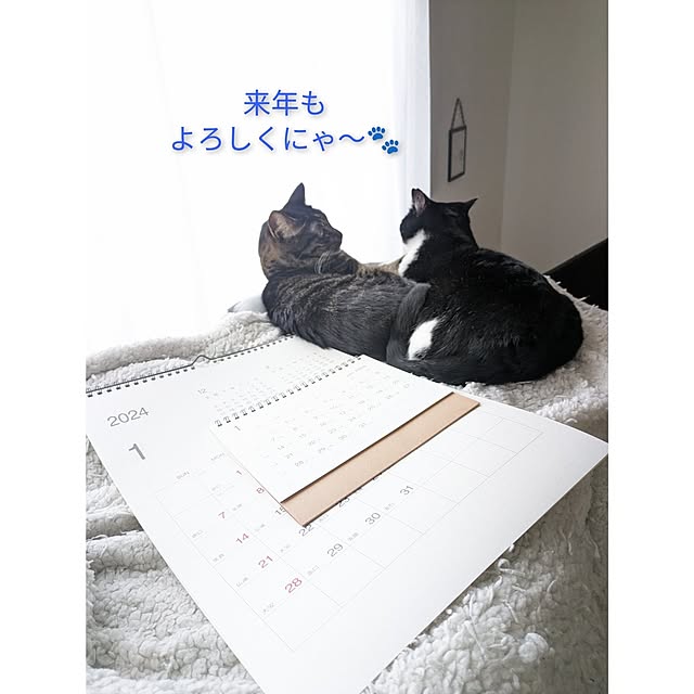 hihaさんの部屋