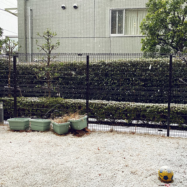 saekoさんの実例写真