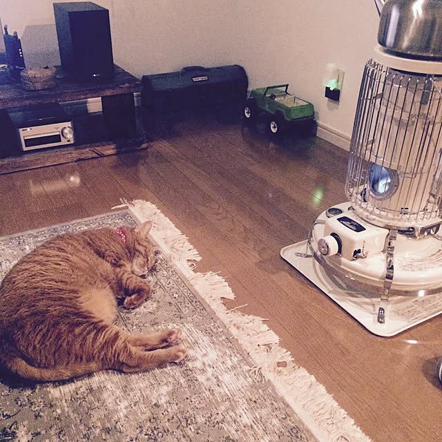 hiroleokunさんの実例写真