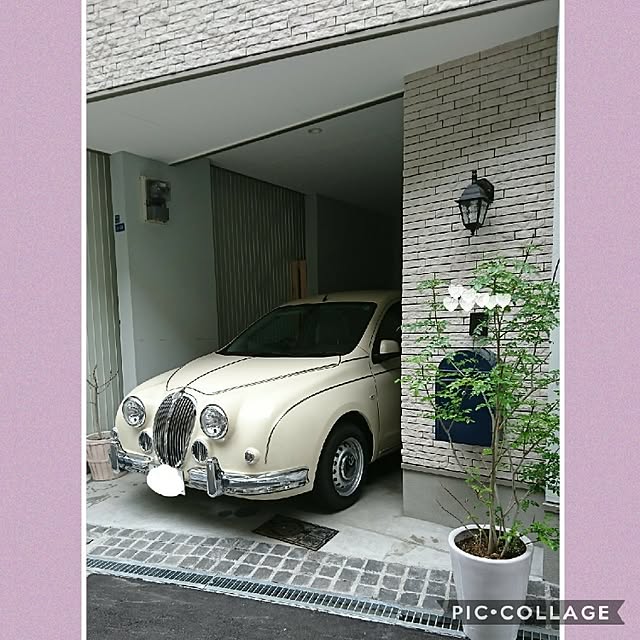 poniさんの実例写真