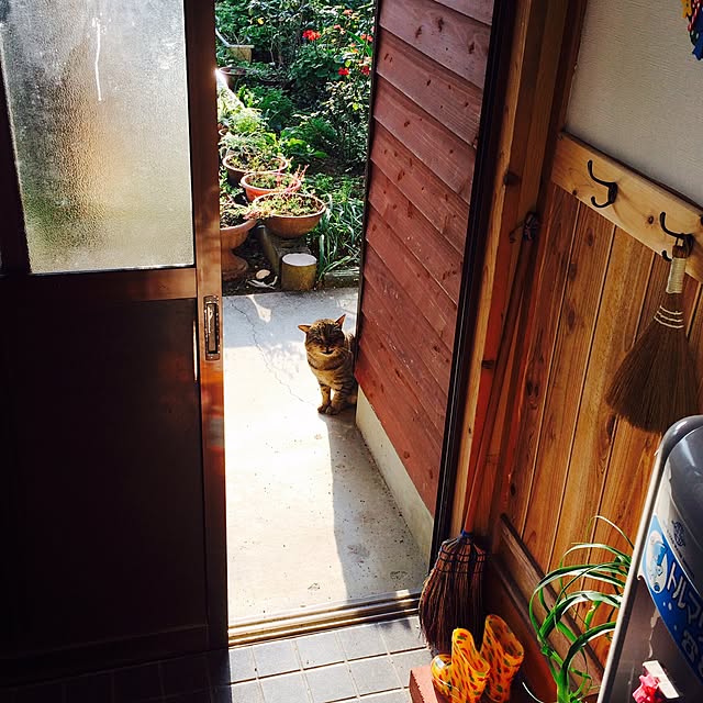 tocchibuluさんの実例写真
