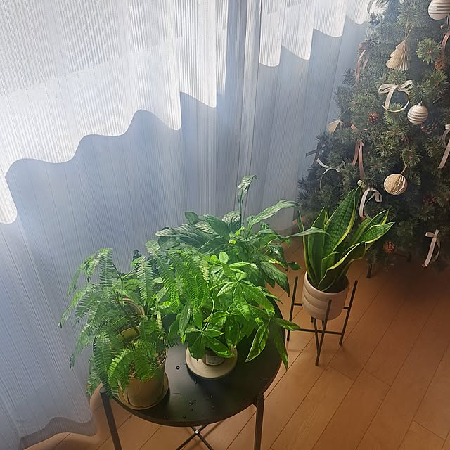 toro_roomさんの実例写真