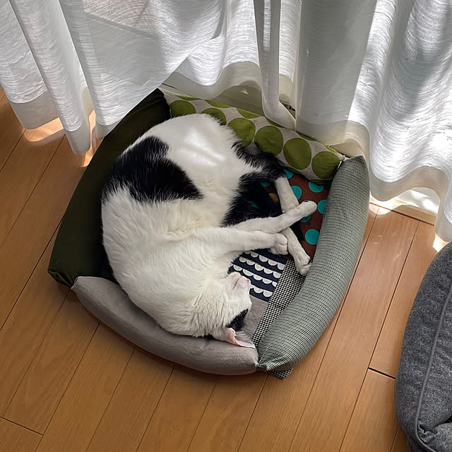 nobikoさんの部屋