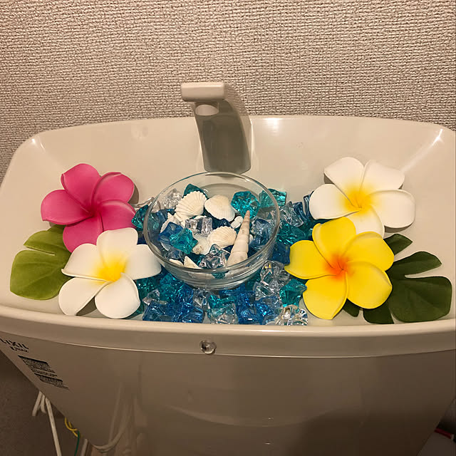 Amiさんの実例写真