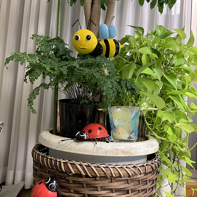 Aqettyさんの実例写真