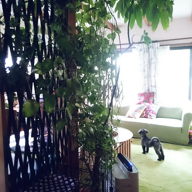 asaさんの実例写真