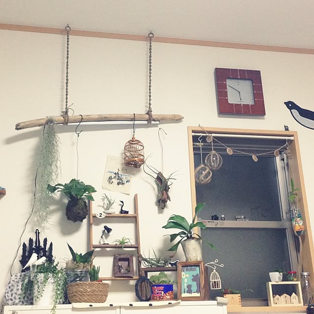 yuuさんの実例写真