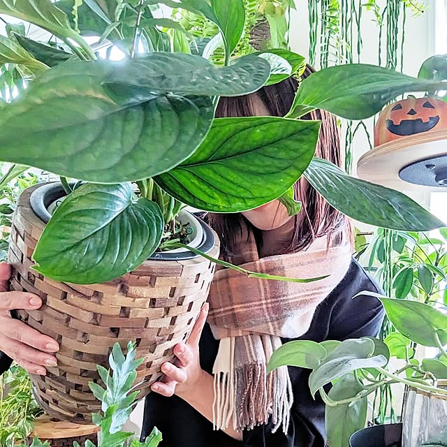 ayamameさんの実例写真