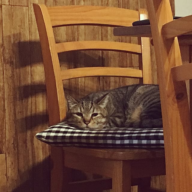 Miechamさんの実例写真