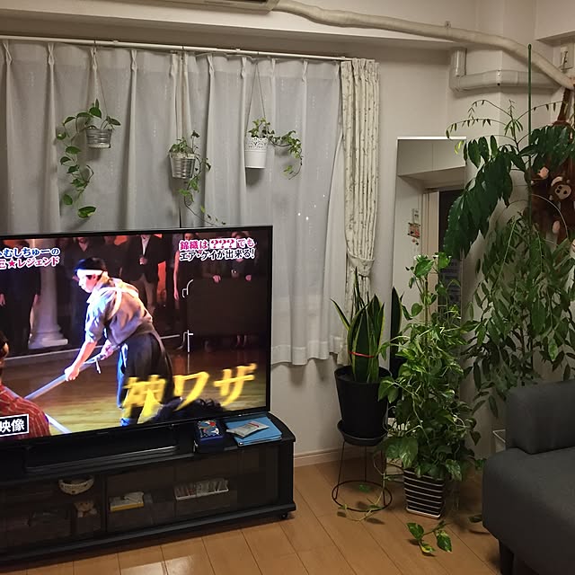 実例写真