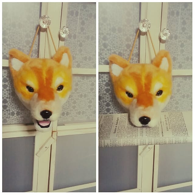 jankenkenさんの実例写真