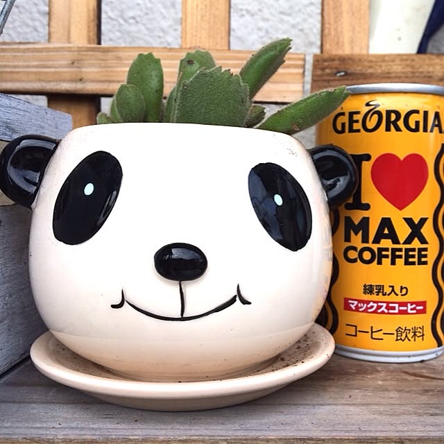 mapiさんの実例写真