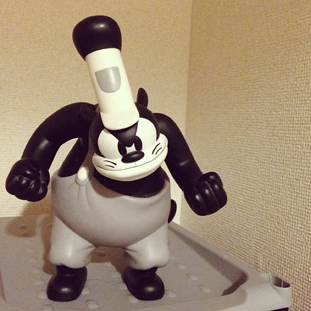 aiさんの実例写真