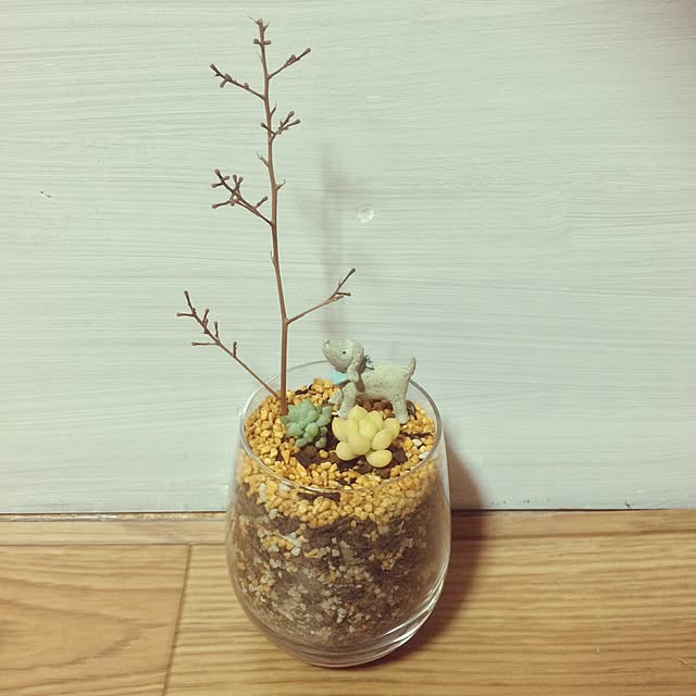 Ayanoさんの実例写真