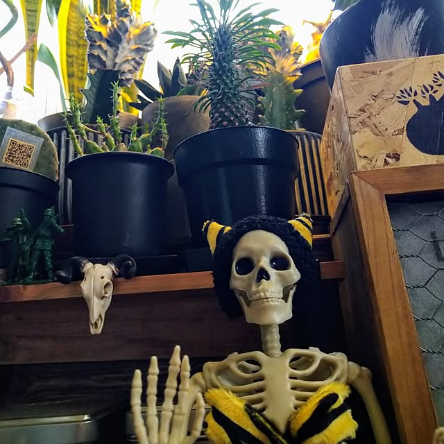2menmamaさんの実例写真