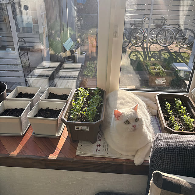kotoriさんの部屋