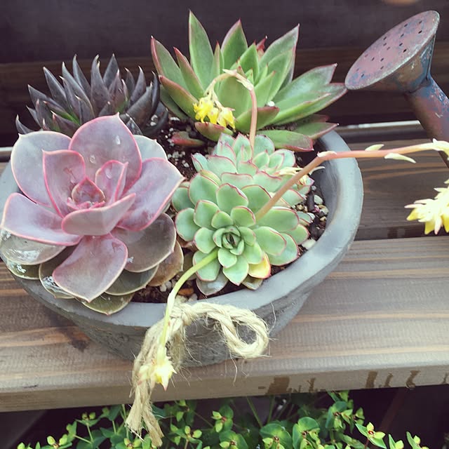 Akiさんの実例写真