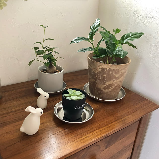 yoppiさんの部屋