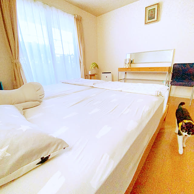 moolさんの部屋