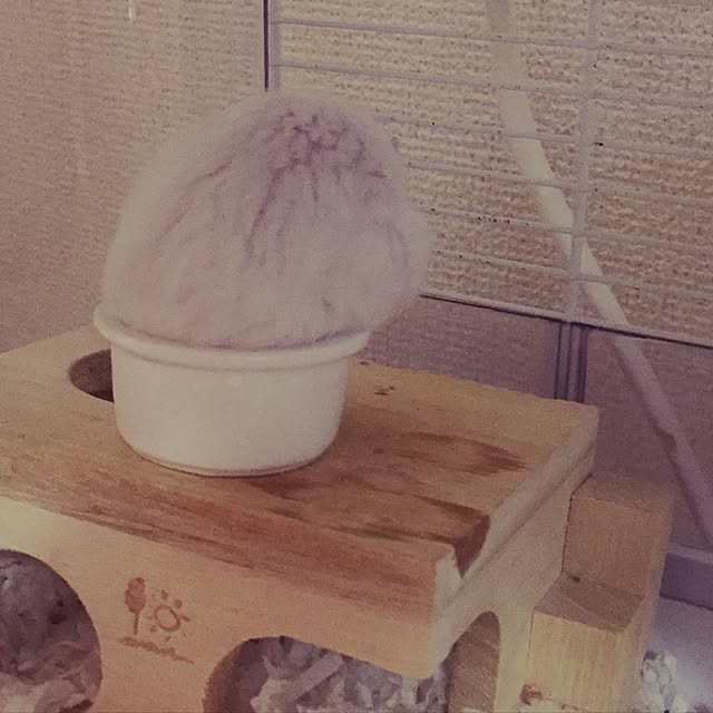 meguさんの実例写真