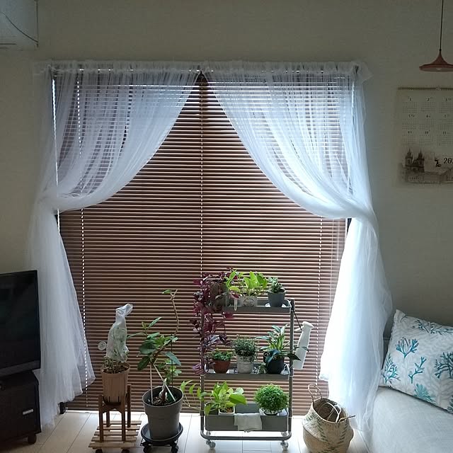 meiさんの実例写真