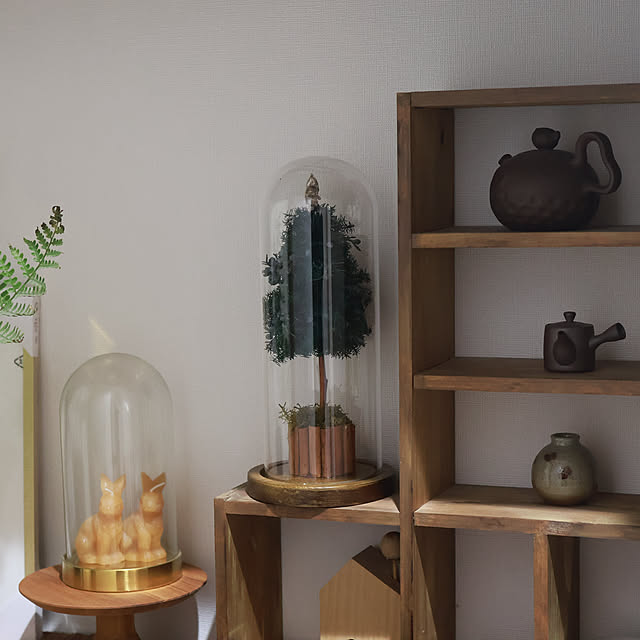 Summerさんの実例写真