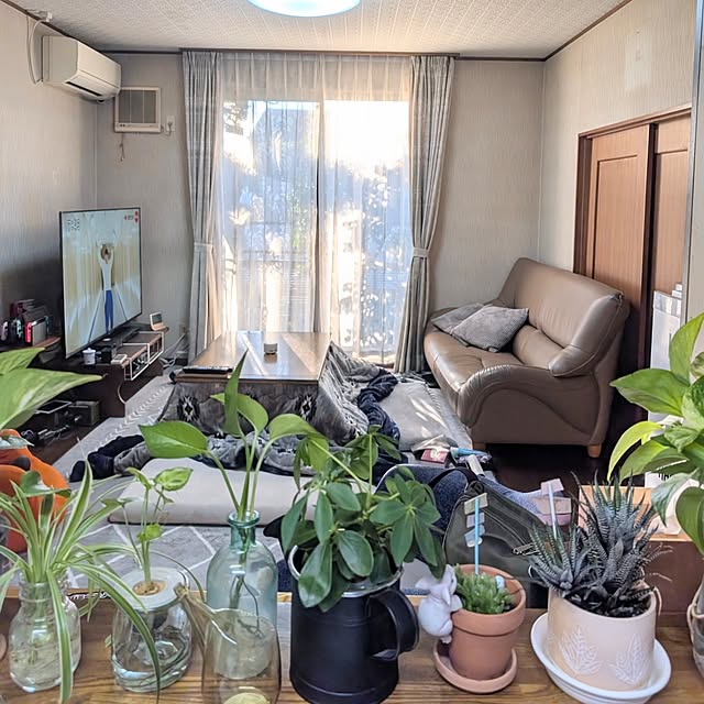 naoporonさんの部屋