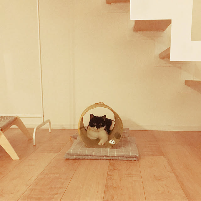 Yさんの実例写真