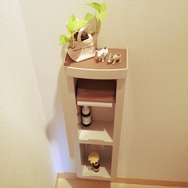 バス/トイレ/雑貨/100均/観葉植物のインテリア実例 - 2014-05-30 09:50:27