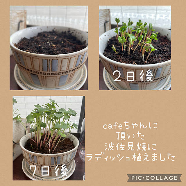 izuさんの実例写真