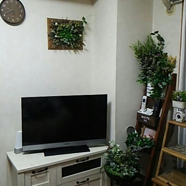 DS250さんの実例写真