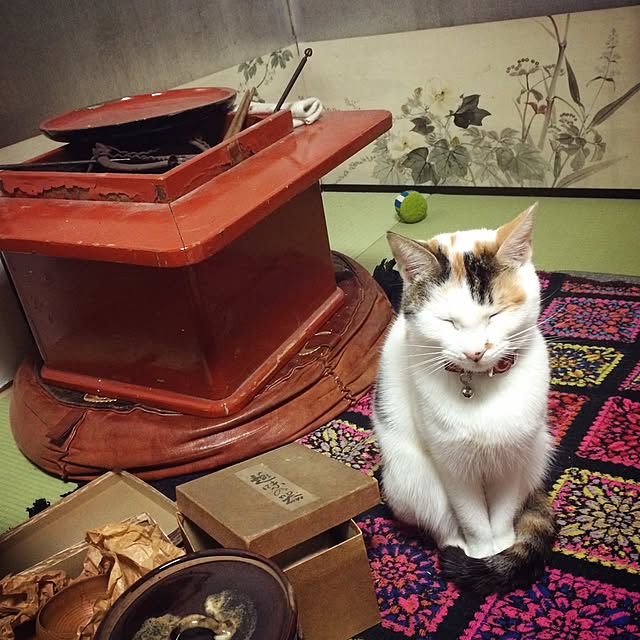 Hazukiさんの実例写真