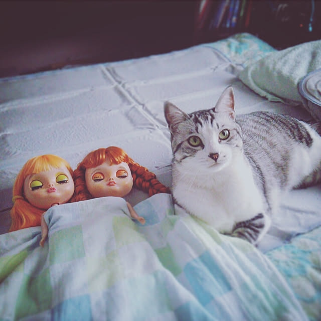 mntcさんの実例写真