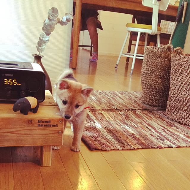 botanさんの実例写真