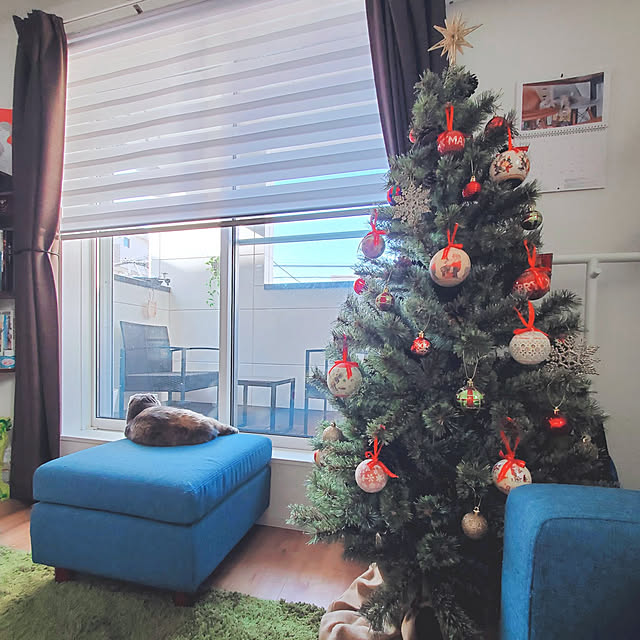 リビング/クリスマス/niko and…/クリスマスツリー/ねこ...などのインテリア実例 - 2022-12-21 08:38:49