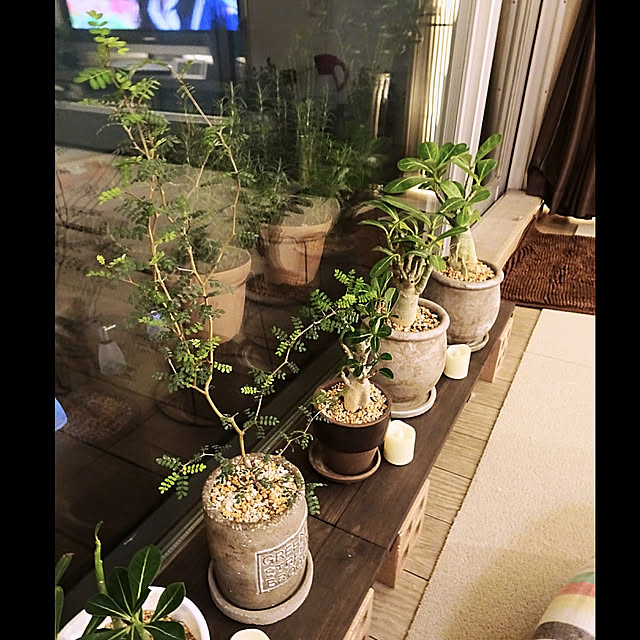 Erika_Hoppyさんの実例写真
