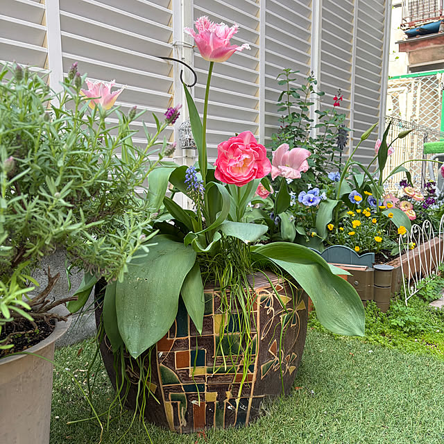 puriyuzuさんの実例写真